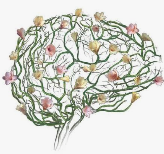 Brain illustration